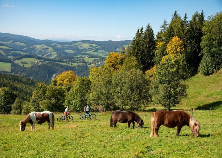 Gasthof & Pension Zur Wallfahrt